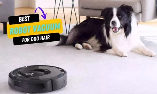 best robot vacuum for dog hair