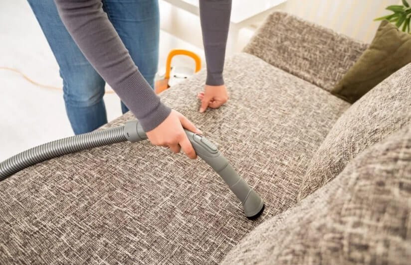 Best Vacuum for Bed Bugs (2)
