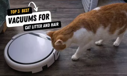 Top 3 Best Vacuums for Cat Litter and Hair