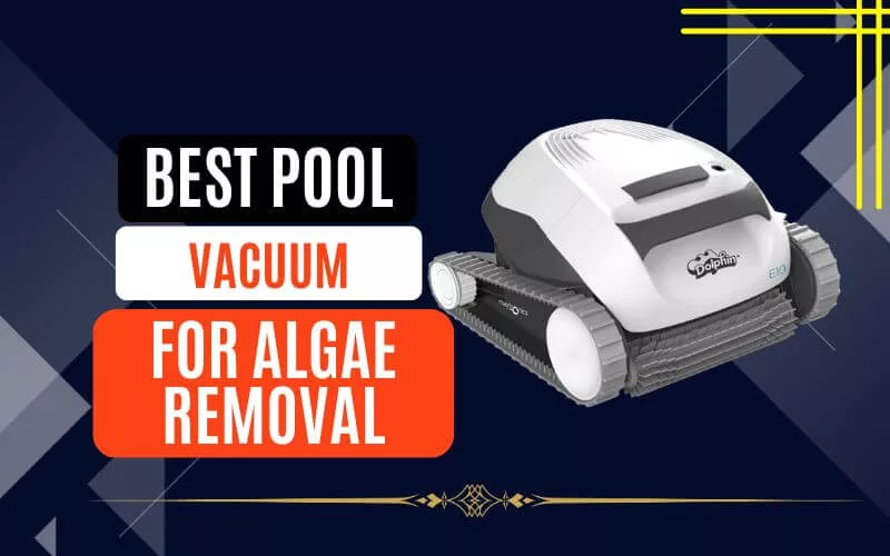 The Best Pool Vacuum for Algae Removal