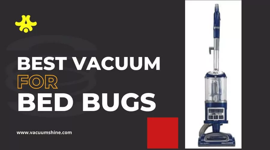 The Best Vacuum for Bed Bugs Removal