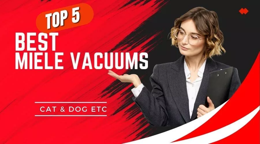 The Cheap Top 5 Best Miele Vacuums of 2024